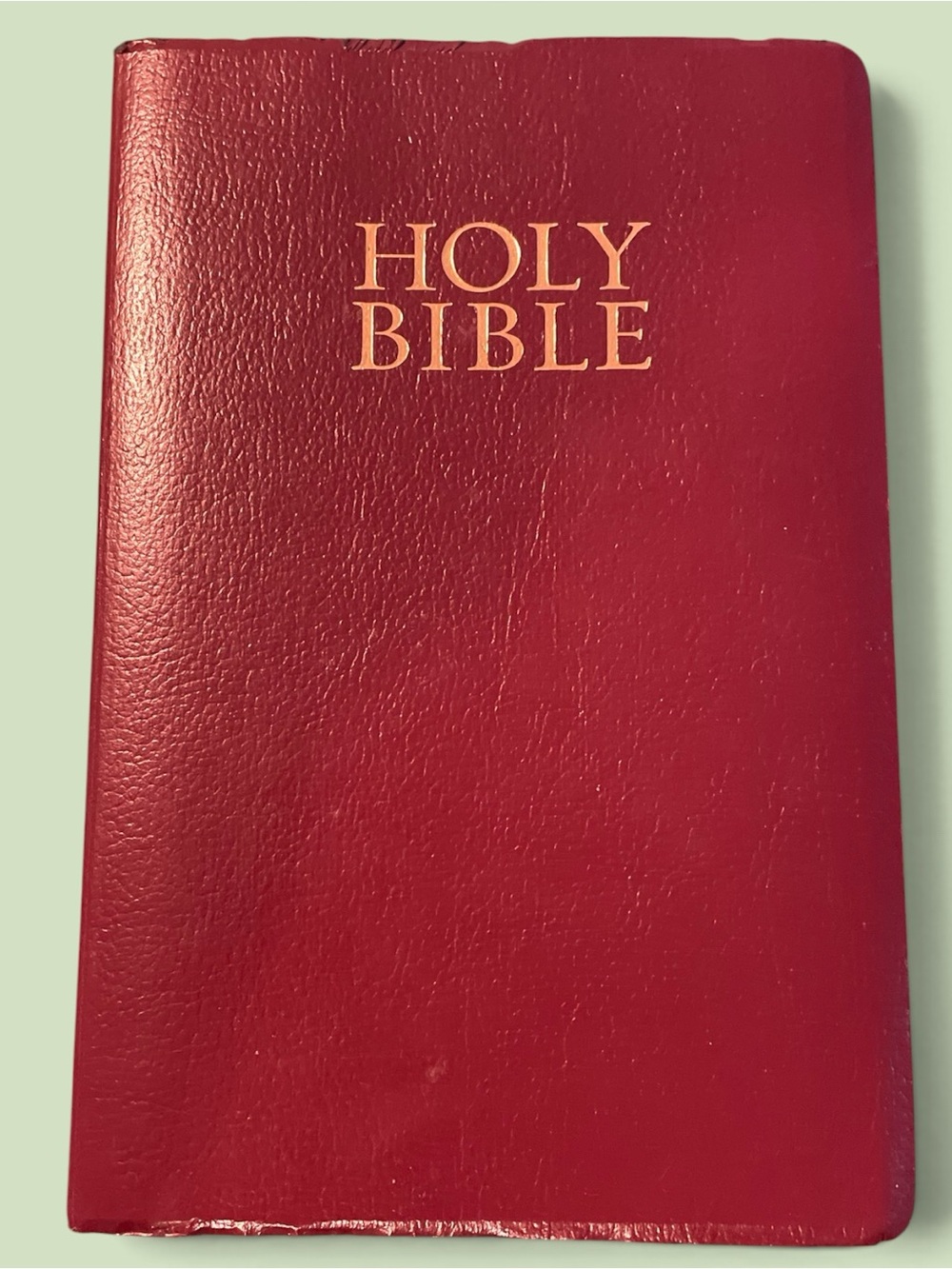 Holy Bible Burgundy Leather like cover